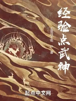 經(jīng)驗點武神